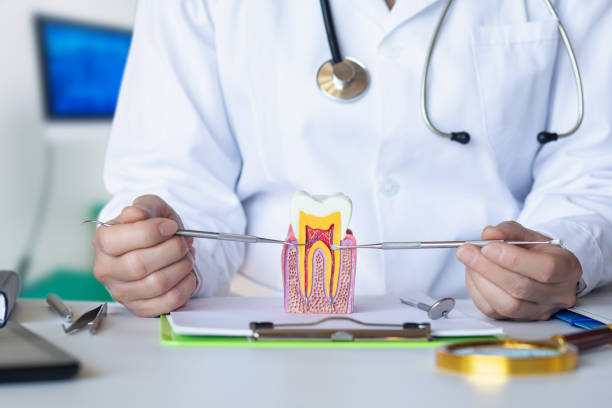Best Dentist for Severe Toothache  in Elverta, CA